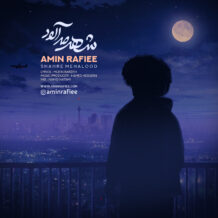 دانلود آهنگ جدید امین رفیعی به نام شهر مه آلود